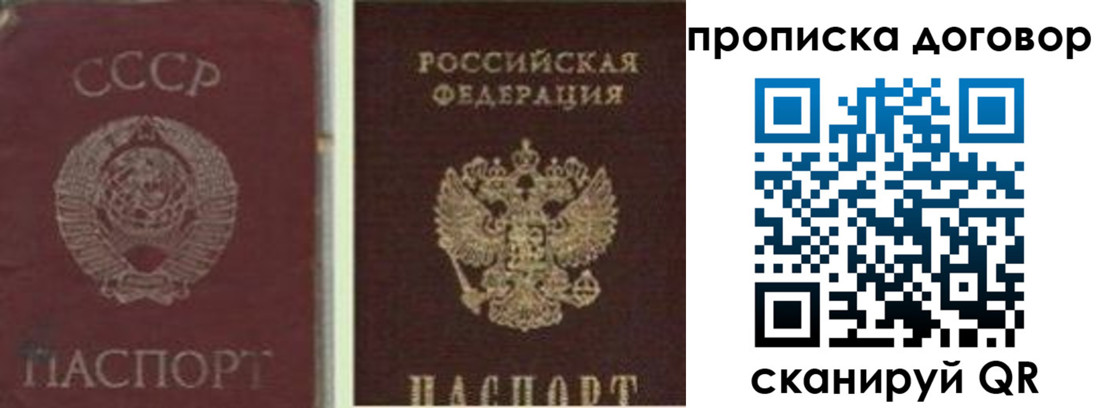 прописка гарантия в Ростове